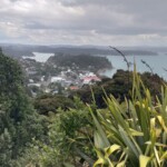 Kororāreka, looking from Te Maiki.