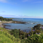 Waihau Bay Lodge Waihau Bay Lodge